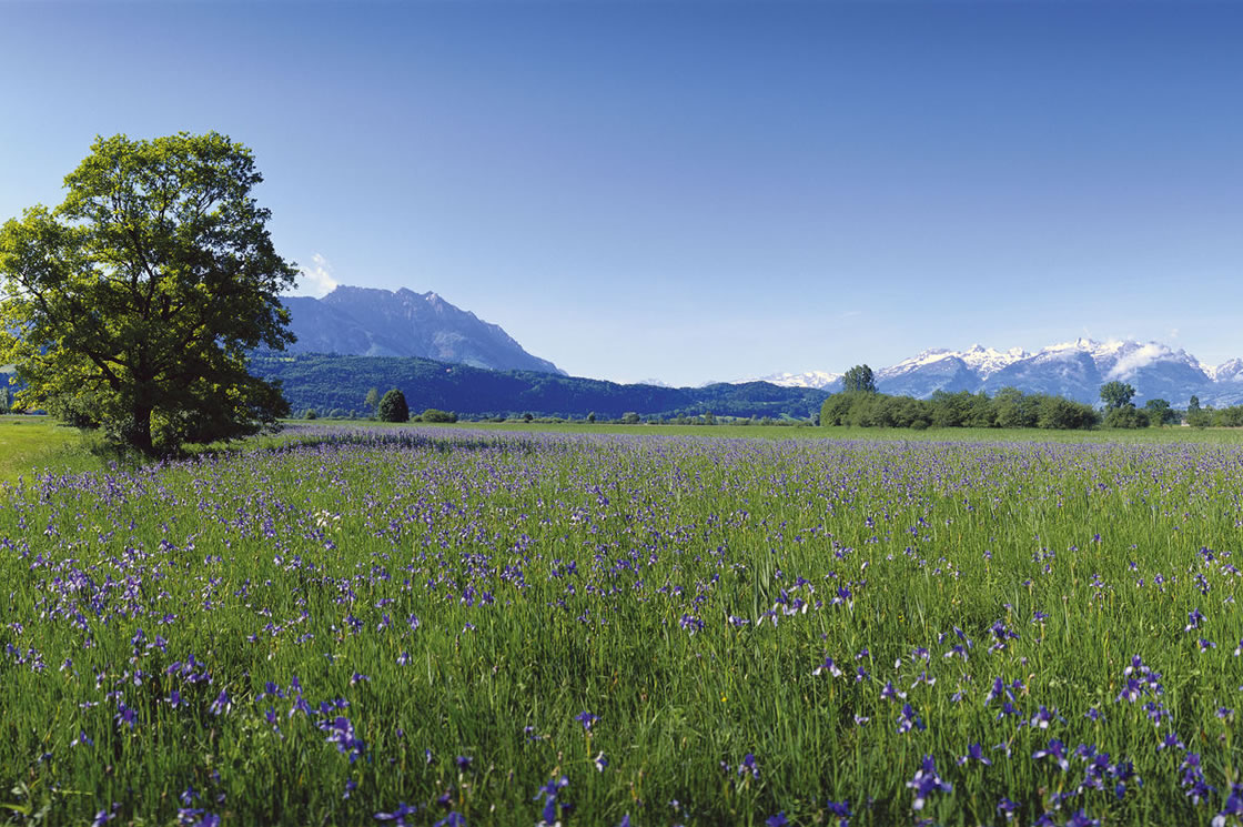 wandern Alpen Liechtenstein