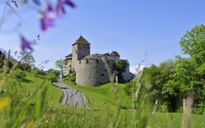 Vue sur le château de Vaduz