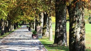 Arboretum Volčji Potok, autumn walkway