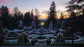 Arboretum Volčji Potok, ambiance hivernale du soir dans le parc