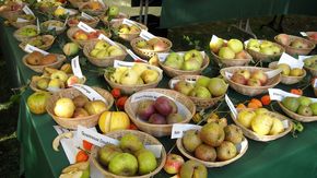 Le plus grand marché de la pomme de Bavière