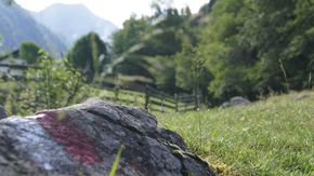 Wanderurlaub Südtirol, auf gehts zur Prantacher Alm