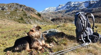 Vacances avec un chien dans le Tyrol du Sud, Hotel Sambergerhof Eisacktal