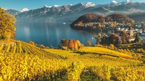 Randonnée viticole en Suisse