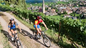 Route des vins du Tyrol du Sud_Tramin