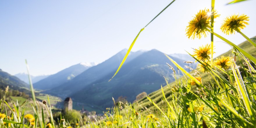 Vacation in South Tyrol travel offer spring