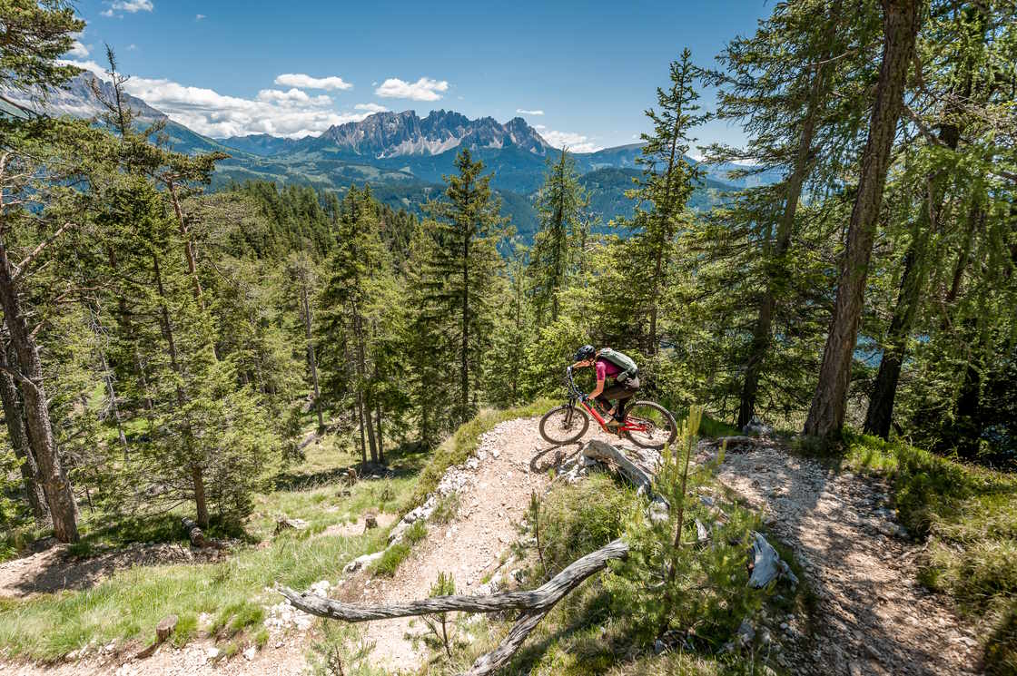 Mountainbike Abfahrt im Eggental, Südtirol