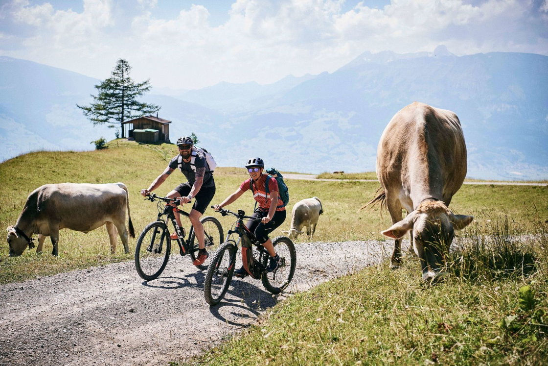 With the e-bike on the Liechtenstein Trail