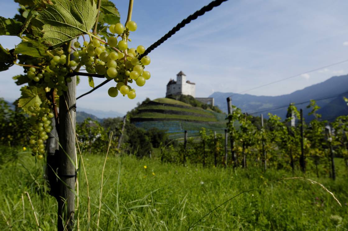 Genusstour zu den Weingütern Liechtensteins
