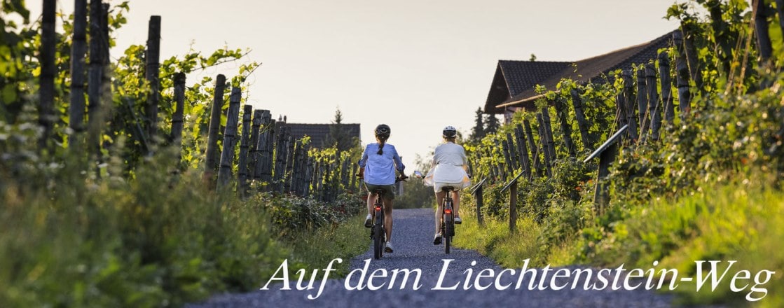 E-Bike Touren auf dem Liechtenstein-Weg