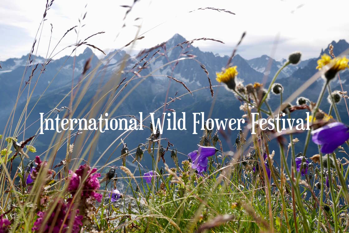 Alpine flower festival in Slovenia