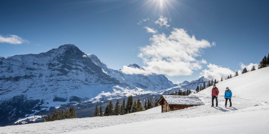 zimsko pohodništvo grindelwald