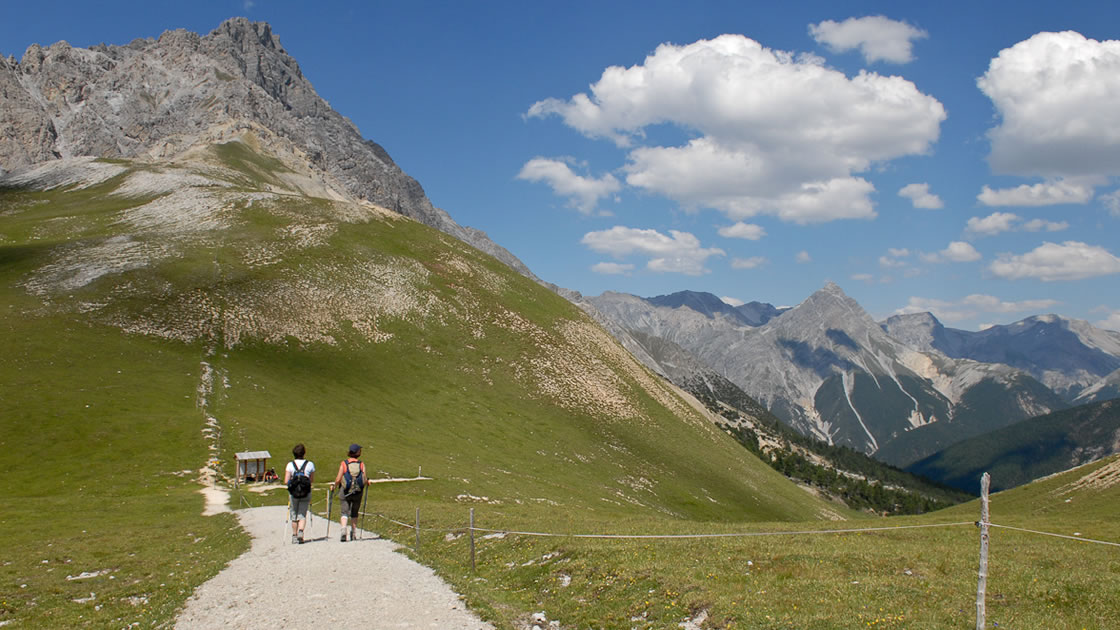 Über ein Jahrhundert Schweizerischer Nationalpark