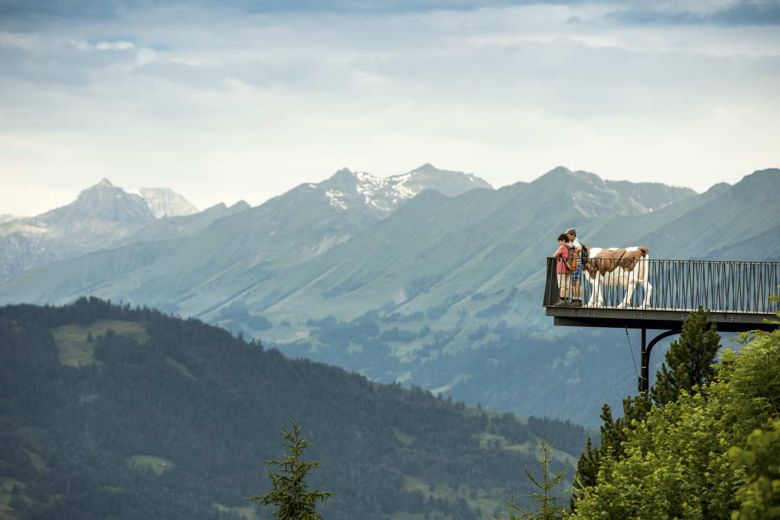Alpen Erlebnis Aussichtsplattform Harder Kulms