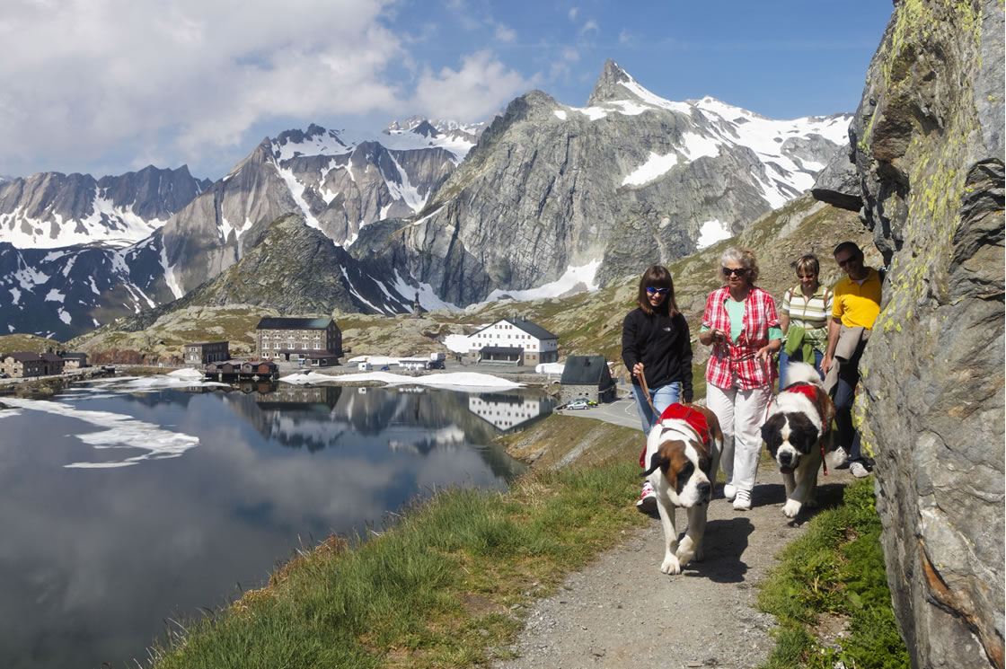Wandern in der Schweiz_Großer Sankt Bernhard Pass