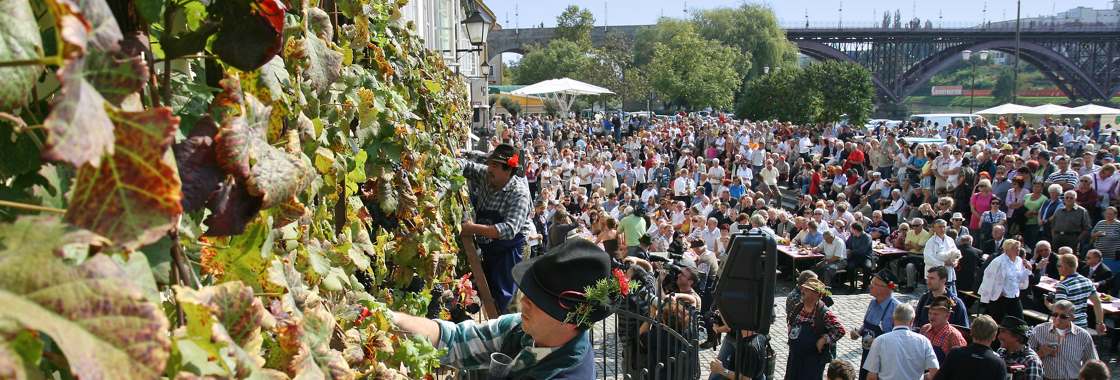 Festival of the Old Vine in Marobor 