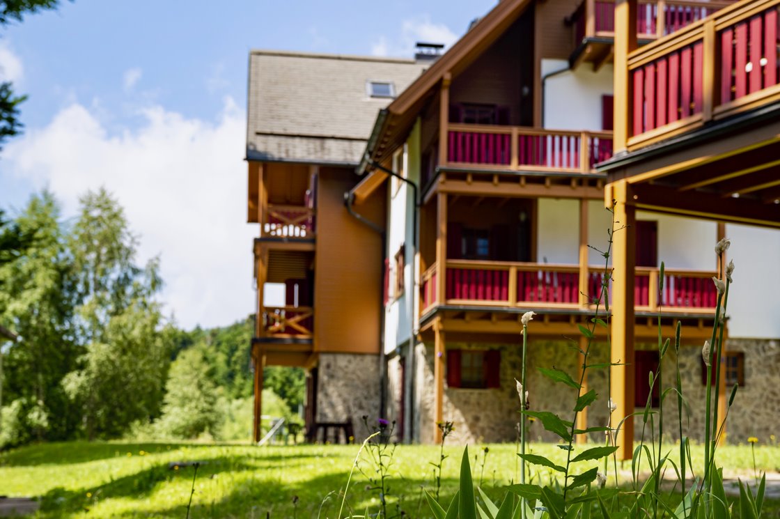 Family vacation in Slovenia, Forest Hotel Videc***