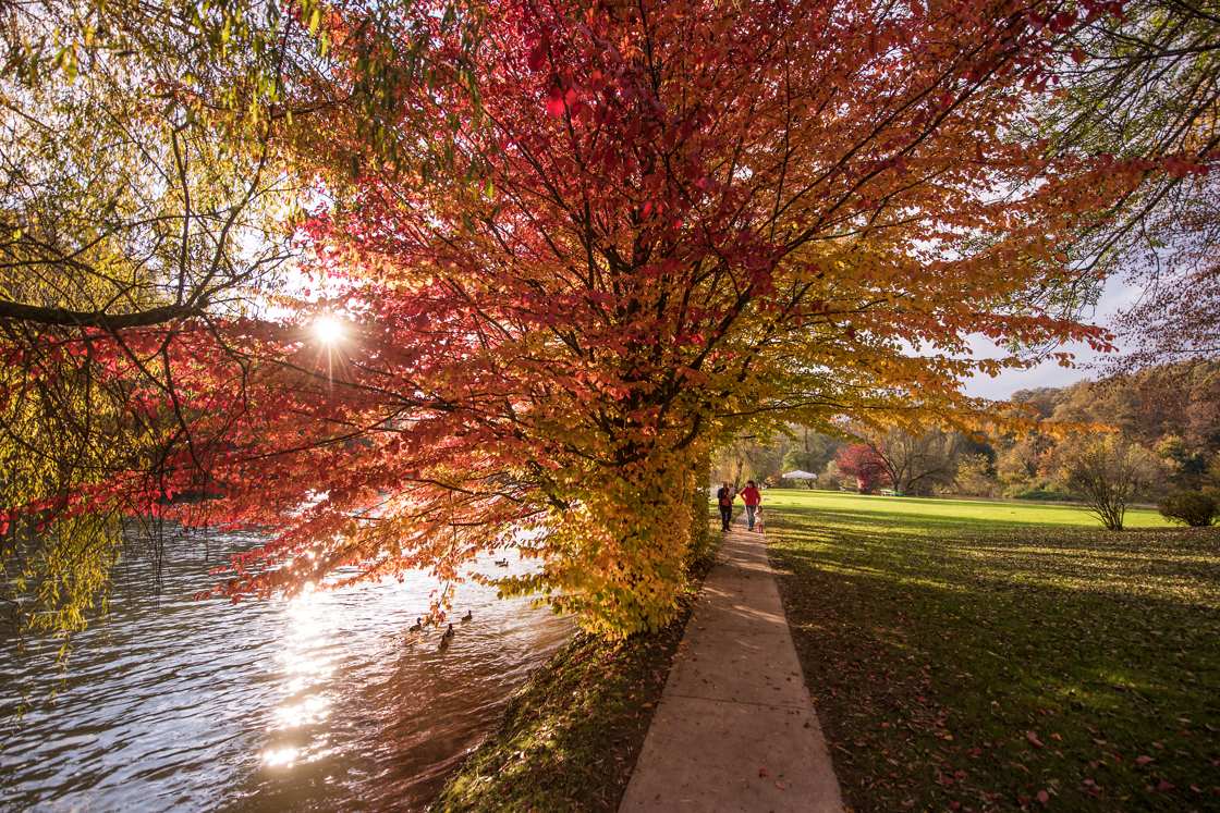 Vacanze autunnali in Slovenia, una passeggiata in un tripudio di colori