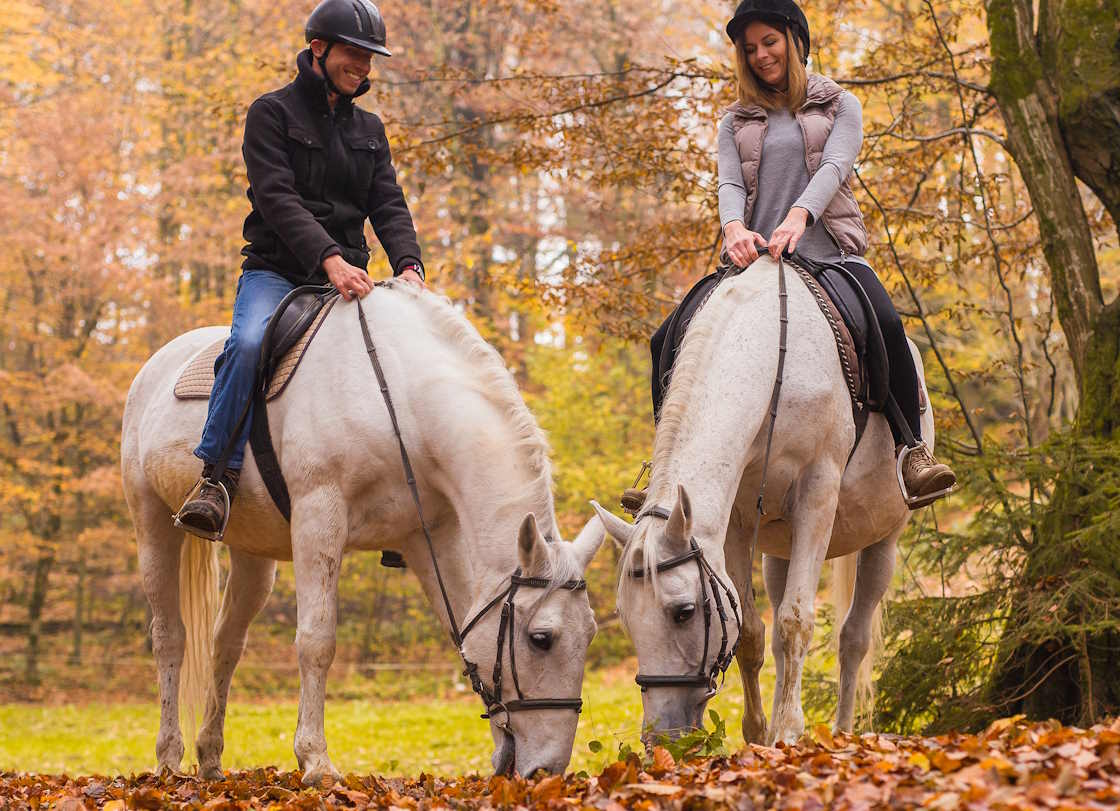 Autumn vacation Slovenia, two riders on Lippizaner horses