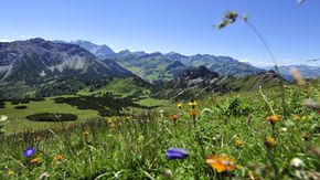 Alpen Liechtenstein Erlebniswanderung mit Greifvoegeln
