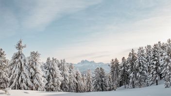 Snowy landscapes in the Eisack Valley