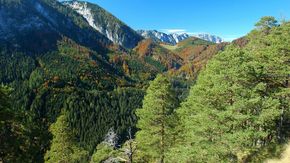 Nationalpark Kalkalpen Herbst im Reichraminger Hintergebirge
