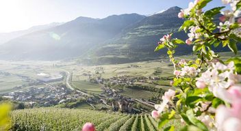 Ostern und Apfelblüte im Vinschgau, Südtirol