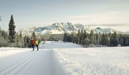 Cross country skiing regions in Styria