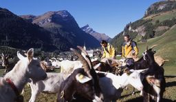 Autumn vacations in Grisons_Hiking