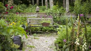 Visita al giardino di erbe aromatiche di Christiane Kirchmair