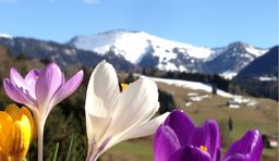 Vacanze di primavera in montagna a Oberstaufen
