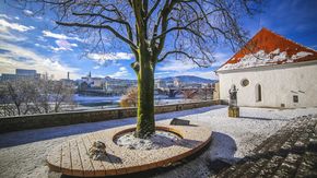 Wintertag in der Stadt Maribor