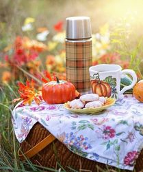 Herbstliches Picknick im Fürstentum Liechtenstein