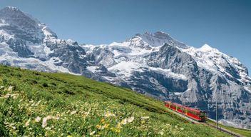 Spring starts in Switzerland, vacation at the Hotel Belvedere Grindelwald