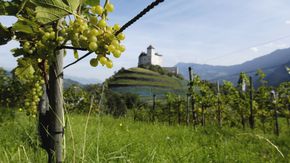 Weinfeste in den Alpen