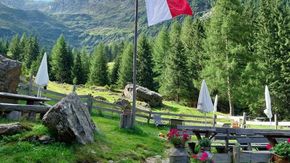 Tyrol du Sud vacances à pied , en route pour le Prantacher Alm