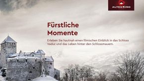 Vacanze nel Liechtenstein, Castello di Vaduz