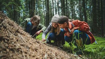 Vacanze avventura per famiglie in Slovenia, Monti Pohorje