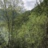 Événement de course à pied au lac d'Achensee