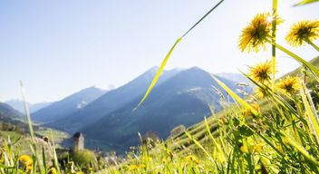 Vacanza in Alto Adige Offerta Viaggio Primavera