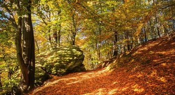Herbsturlaub in Slowenien, Kranjska Gora