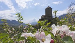 Visita ai castelli dell'Alto Adige/Villaggio Tirolo