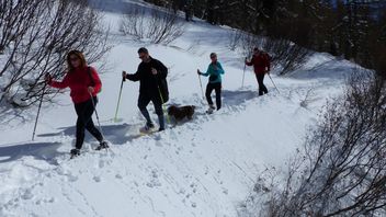 Snowshoeing in South Tyrol