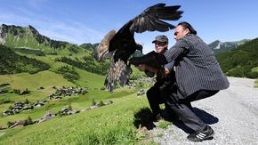 Adventure hike eagle path, with golden eagles on close contact