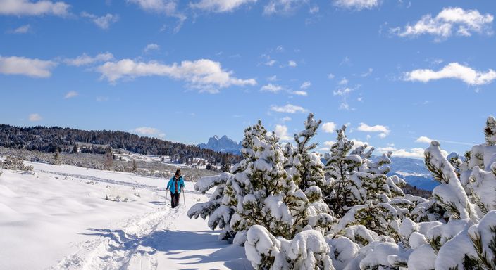 South Tyrolean alpine pasture experience Villanderer Alm in winter