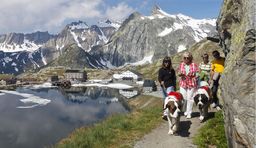 Wandern in der Schweiz_Großer Sankt Bernhard Pass
