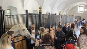 Slovenia, Lipica Stud Farm