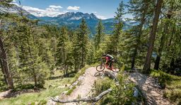 Mountain bike downhill in Val d'Ega, South Tyrol